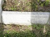 image of grave number 950600